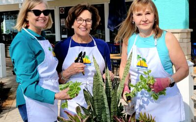 The Calusa Garden Club – Beautifying Marco Town Center – –