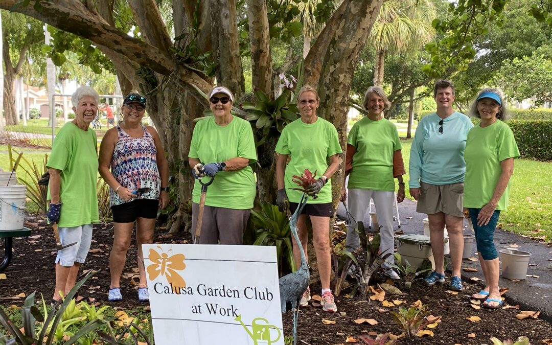 Calusa Garden Club of Marco Island